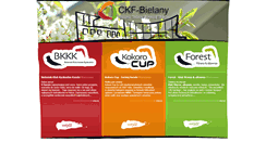 Desktop Screenshot of ckf-bielany.pl